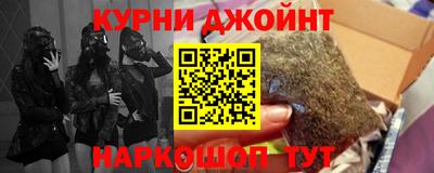 PSILOCYBIN Гатчина