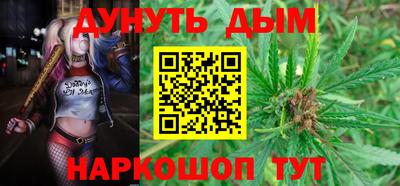 PSILOCYBIN Гатчина