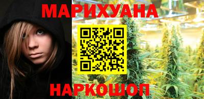 PSILOCYBIN Гатчина