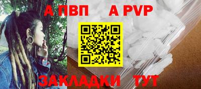 PSILOCYBIN Гатчина