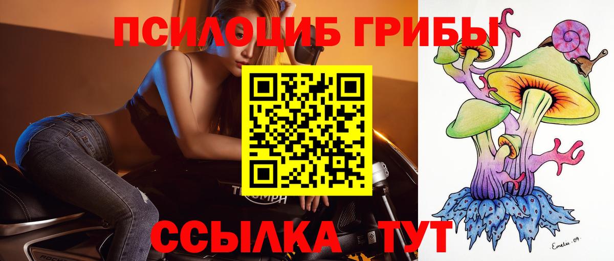 Галлюциногенные грибы прущие грибы Калуга